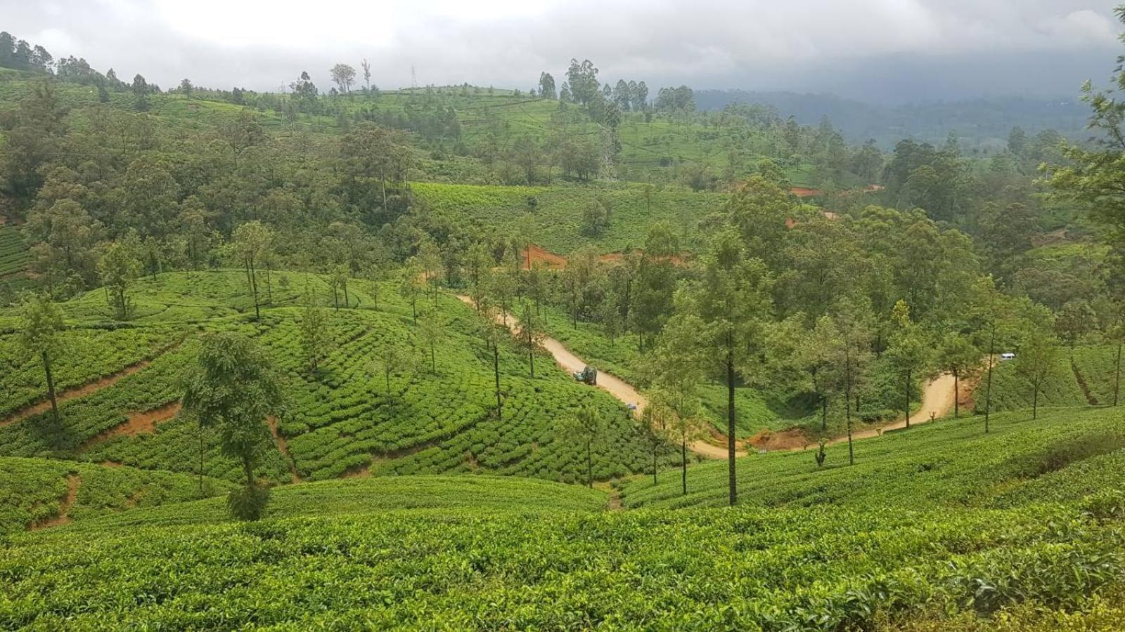 Kuruniyavilla Holiday home *