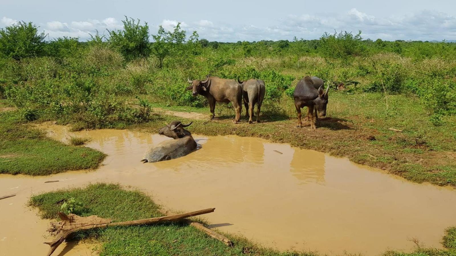 Kuruniyavilla Unawatuna
